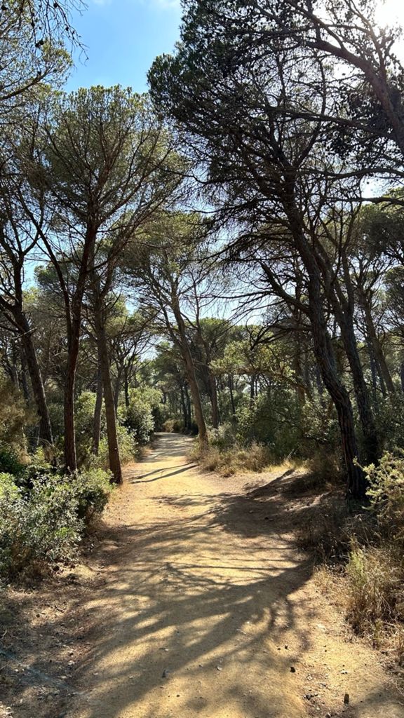 Castell Hills