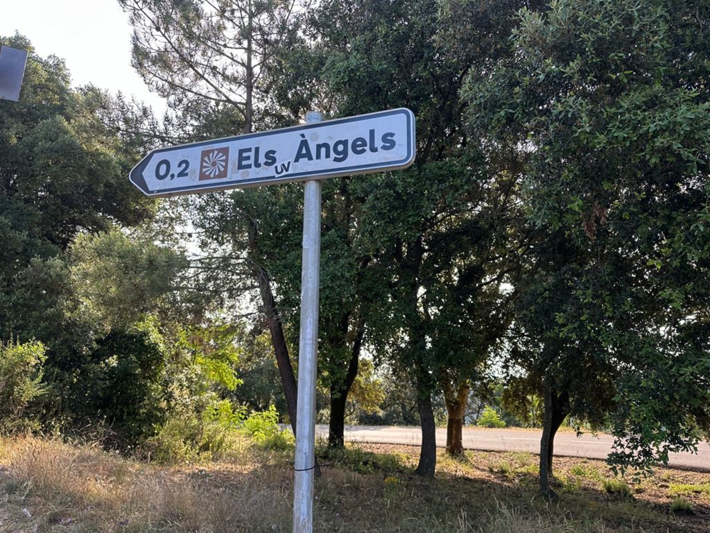 Els3