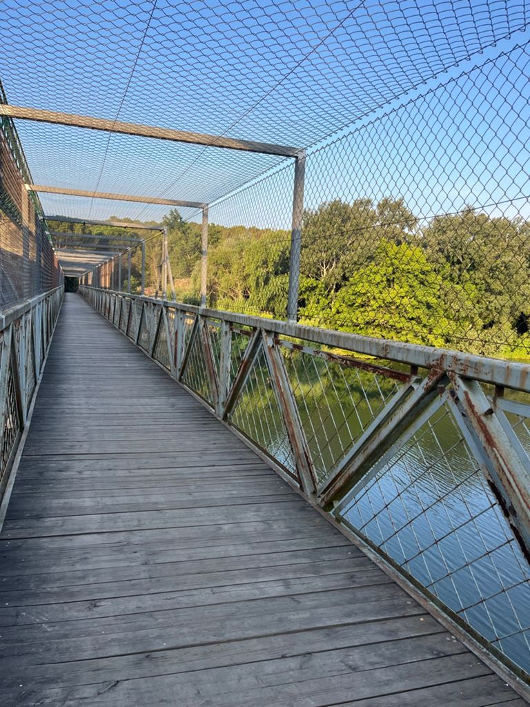 Bridge